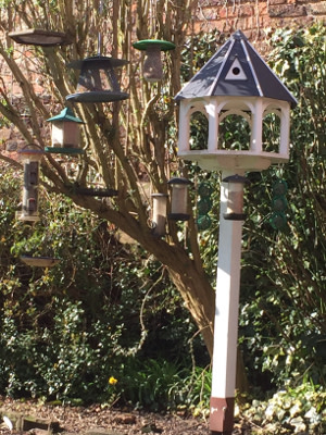 Bird Feeder